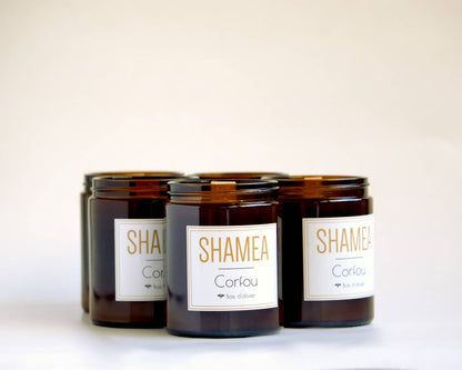 Bougie bois d'olivier naturelle