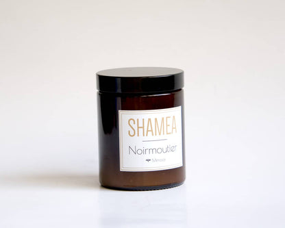 Bougie mimosa naturelle